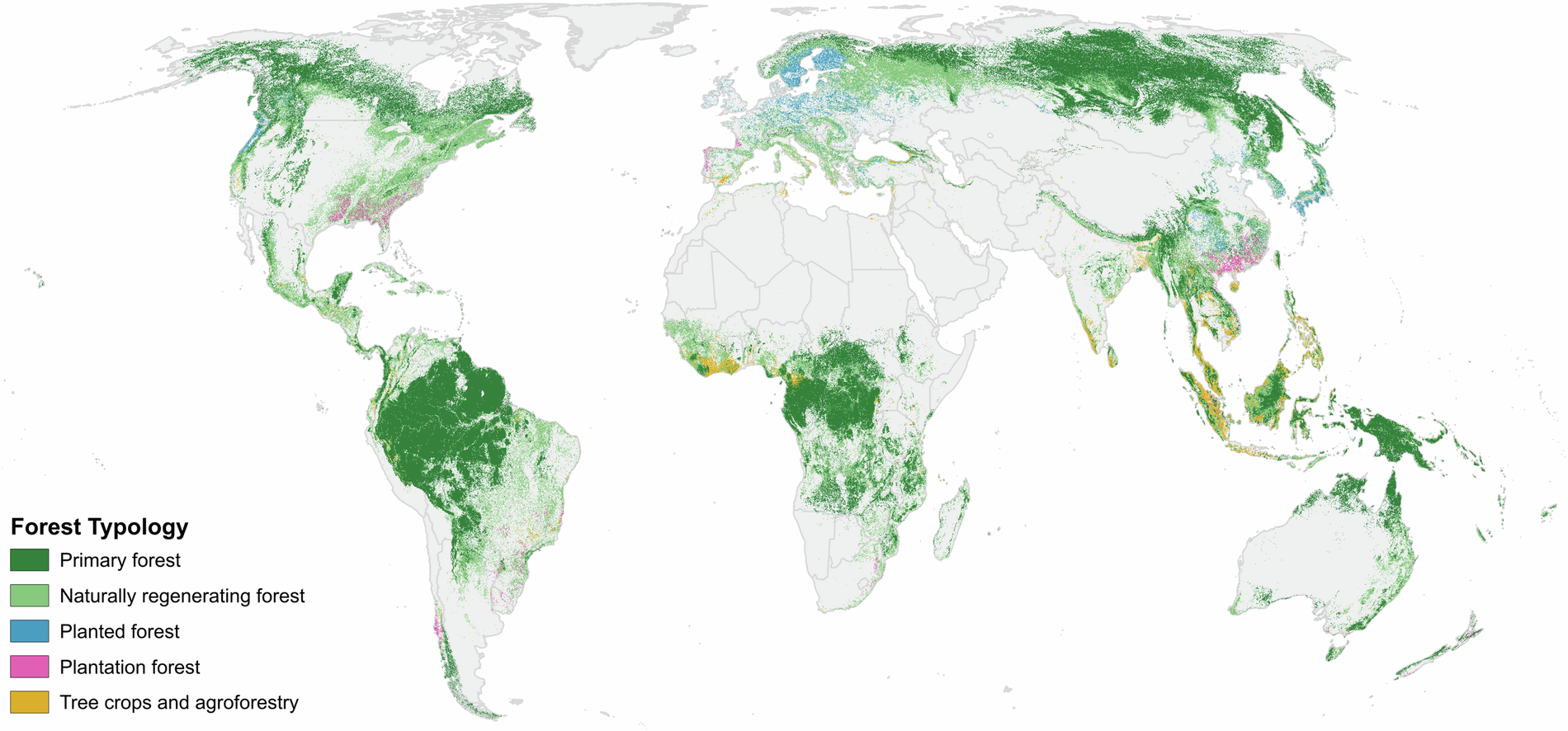 A global map showing primary, naturally regenerating, planted, and plantation forests, plus tree crops and agroforestry